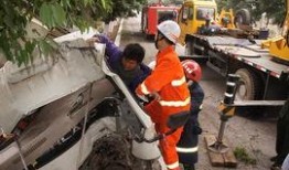 阳朔车祸最新爆料,事故原因揭秘，伤亡情况公布